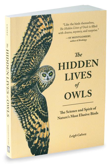 The Hidden Lives of Owls