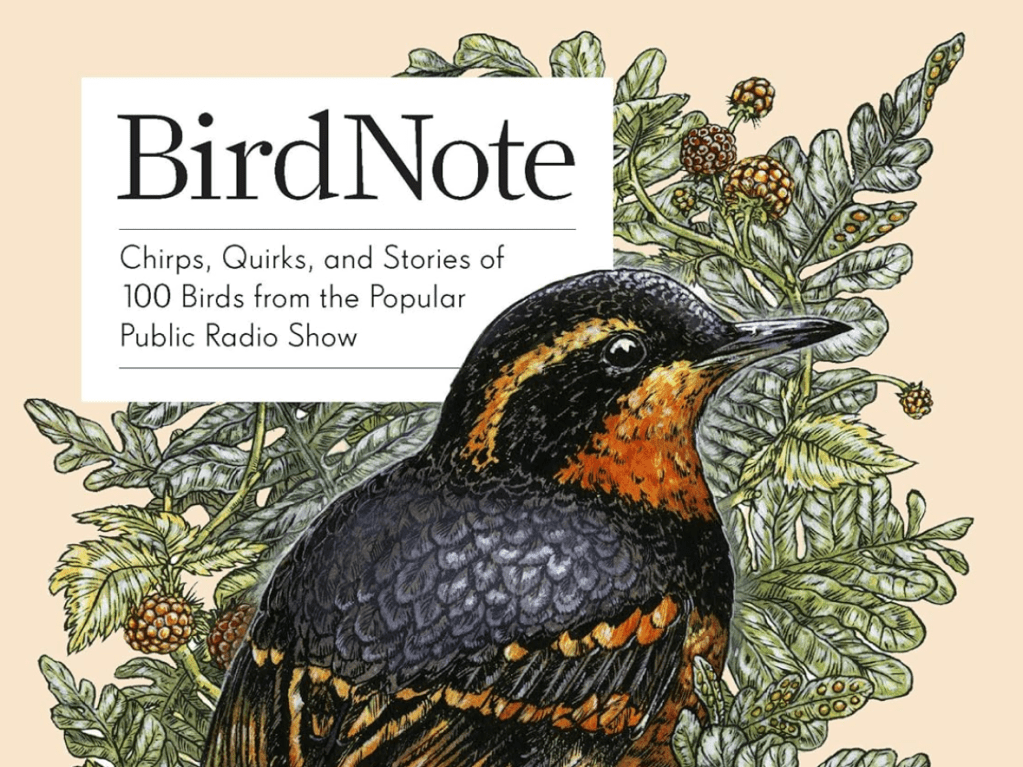 BirdNote